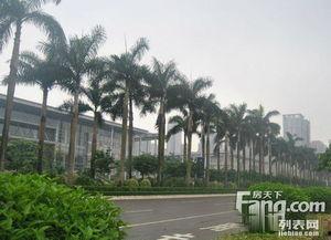 江门蓬江区爆料案件最新,案情揭秘，真相大白！  第3张