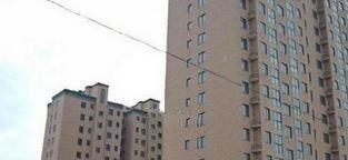 四明西路最新爆料,揭秘神秘项目进展与周边影响 第1张 四明西路最新爆料,揭秘神秘项目进展与周边影响 第1张